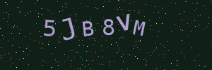 Validation image
