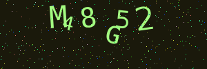 Validation image