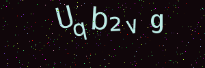 Validation image