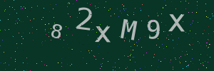 Validation image
