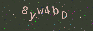 Validation image