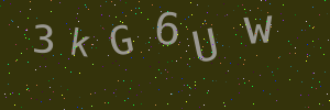 Validation image