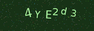 Validation image