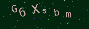 Validation image