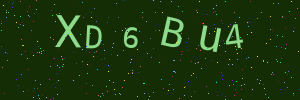 Validation image