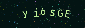 Validation image
