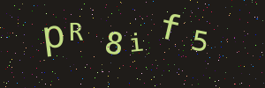 Validation image