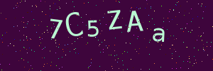 Validation image