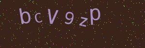 Validation image