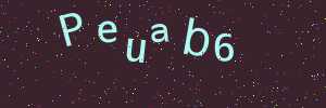 Validation image
