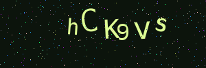 Validation image