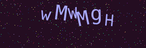 Validation image