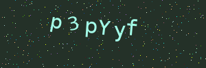 Validation image