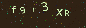 Validation image