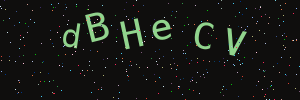 Validation image