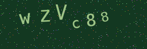 Validation image