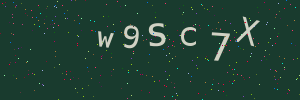 Validation image