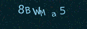 Validation image