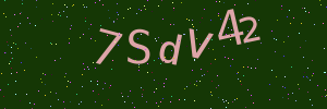 Validation image