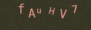Validation image