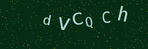 Validation image