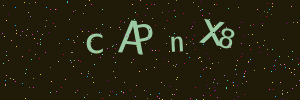 Validation image