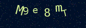 Validation image