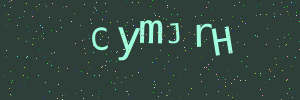 Validation image
