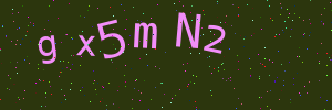Validation image