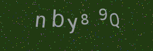 Validation image
