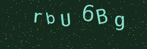 Validation image