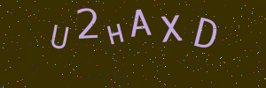 Validation image