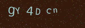 Validation image