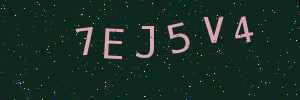 Validation image