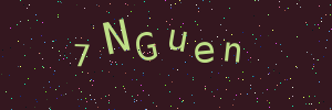 Validation image