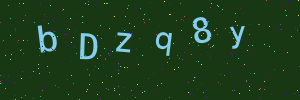 Validation image