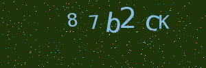 Validation image