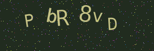 Validation image