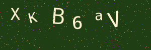 Validation image