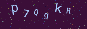 Validation image