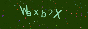 Validation image