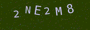 Validation image