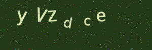 Validation image