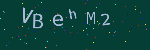 Validation image