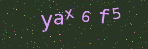 Validation image