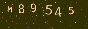 Validation image