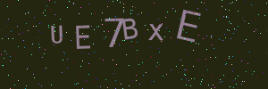 Validation image