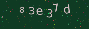 Validation image