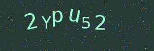Validation image