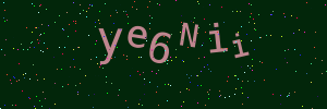 Validation image